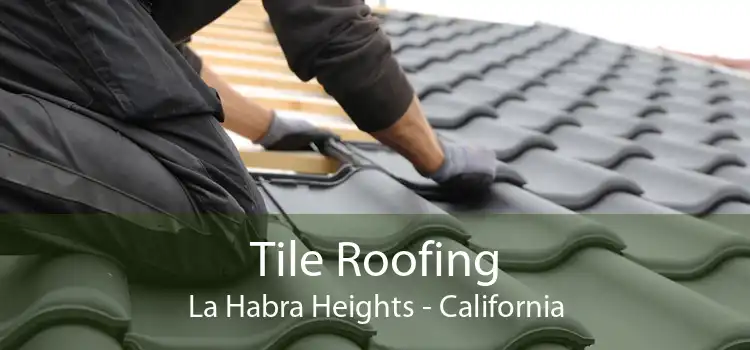 Tile Roofing La Habra Heights - California